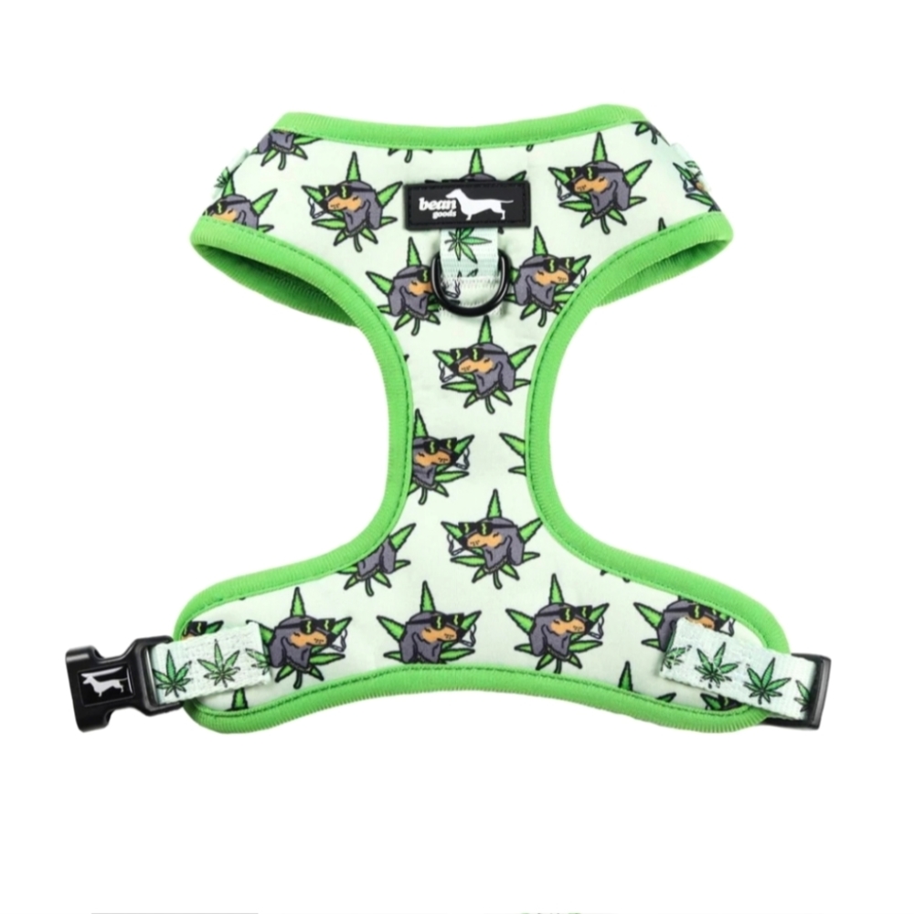 Dog Harness